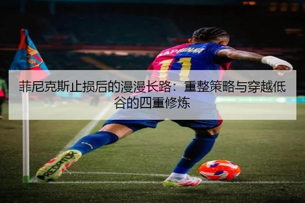 菲尼克斯止损后的漫漫长路：重整策略与穿越低谷的四重修炼